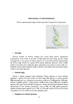 Referāts 'Parazitoloģija', 6.