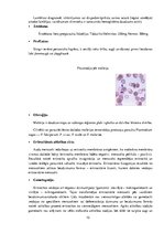 Referāts 'Parazitoloģija', 10.