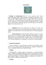 Referāts 'Parazitoloģija', 16.