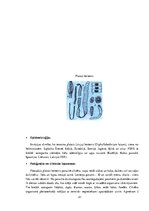 Referāts 'Parazitoloģija', 21.