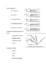 Konspekts 'Piesārņojošo vielu izkliede atmosfērā un to ietekmējošo faktoru novērtēšana', 13.