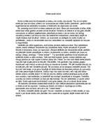 Eseja 'Stress manā dzīvē', 1.