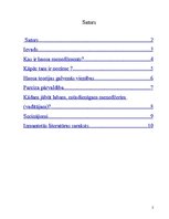 Eseja 'Haosa menedžments', 2.