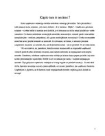 Eseja 'Haosa menedžments', 5.