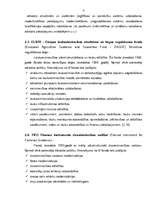 Referāts 'Eiropas Savienības reģionālā politika un strukturālie fondi', 11.