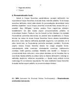Referāts 'Eiropas Savienības reģionālā politika un strukturālie fondi', 17.