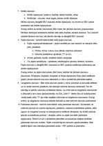 Referāts 'Atkritumu apsaimniekošana', 5.