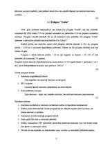 Referāts 'Atkritumu apsaimniekošana', 11.