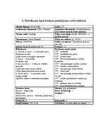 Konspekts 'Galda klājums', 7.