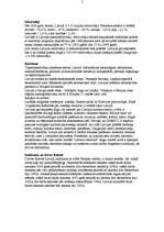 Referāts 'Pieprasītākās profesijas šodienas darba tirgū ', 4.