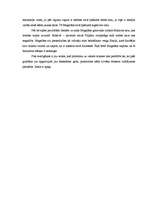 Eseja 'Magelāna ceļojums apkārt pasaulei', 2.