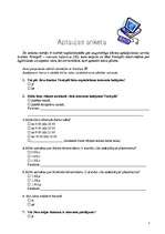 Referāts 'Interneta kafejnīcas darbības uzsākšanas analīze', 4.