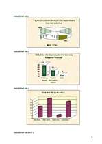 Referāts 'Interneta kafejnīcas darbības uzsākšanas analīze', 11.