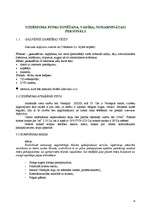 Referāts 'Interneta kafejnīcas darbības uzsākšanas analīze', 14.