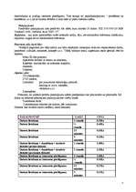 Referāts 'Interneta kafejnīcas darbības uzsākšanas analīze', 17.