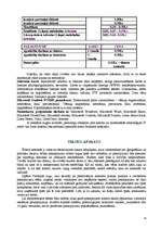 Referāts 'Interneta kafejnīcas darbības uzsākšanas analīze', 18.