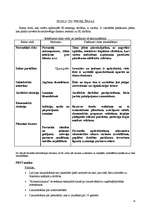 Referāts 'Interneta kafejnīcas darbības uzsākšanas analīze', 19.