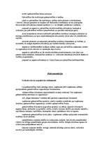 Prakses atskaite 'A/S "Rīgas Miesnieks"', 8.