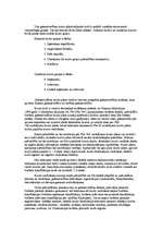 Prakses atskaite 'A/S "Rīgas Miesnieks"', 13.