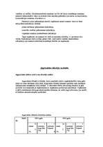 Prakses atskaite 'A/S "Rīgas Miesnieks"', 18.