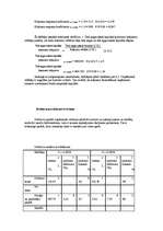 Prakses atskaite 'A/S "Rīgas Miesnieks"', 20.