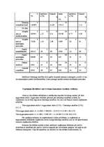 Prakses atskaite 'A/S "Rīgas Miesnieks"', 24.