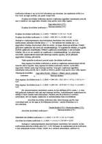 Prakses atskaite 'A/S "Rīgas Miesnieks"', 25.