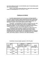 Prakses atskaite 'A/S "Rīgas Miesnieks"', 27.