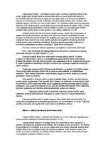 Prakses atskaite 'A/S "Rīgas Miesnieks"', 28.