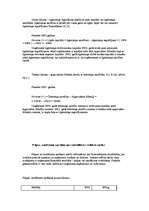 Prakses atskaite 'A/S "Rīgas Miesnieks"', 31.