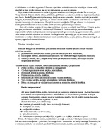 Konspekts 'Mūzika cilvēka dzīvē un ietekme uz to', 3.