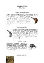 Konspekts 'Āfrikas rekordi', 2.