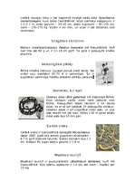 Konspekts 'Āfrikas rekordi', 3.