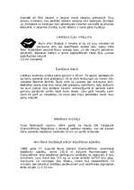 Konspekts 'Āfrikas rekordi', 7.