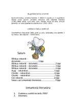 Konspekts 'Āfrikas rekordi', 9.