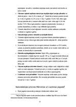 Referāts 'Madonas rajona etniskā struktūra', 20.