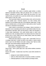 Diplomdarbs 'Spēles izziņas darbības sekmēšanai matemātikas stundās 1.klasē', 5.