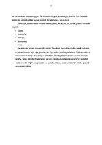 Diplomdarbs 'Spēles izziņas darbības sekmēšanai matemātikas stundās 1.klasē', 15.