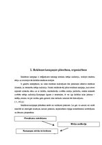 Diplomdarbs 'Reklāma kā Latvijas lielāko biznesa augstskolu integrētās mārketinga komunikācij', 23.