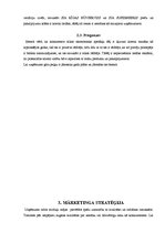 Biznesa plāns 'Biznesa plāns būvuzņēmumam SIA "Moduļi"', 6.