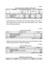 Biznesa plāns 'Biznesa plāns būvuzņēmumam SIA "Moduļi"', 13.