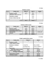 Biznesa plāns 'Biznesa plāns būvuzņēmumam SIA "Moduļi"', 16.