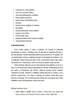 Konspekts 'Stress un tā novēršanas iespējas', 2.