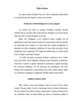 Referāts 'Mājas tīrīšanas paņēmieni, darba piederumi', 3.