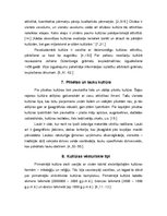 Referāts 'Kultūras tipoloģija', 7.