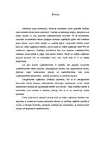 Referāts 'Auto nozares apraksts', 3.