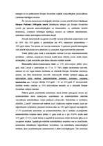 Referāts 'Auto nozares apraksts', 6.