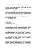 Referāts 'Auto nozares apraksts', 14.