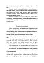 Referāts 'Auto nozares apraksts', 15.