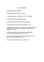 Referāts 'Auto nozares apraksts', 17.